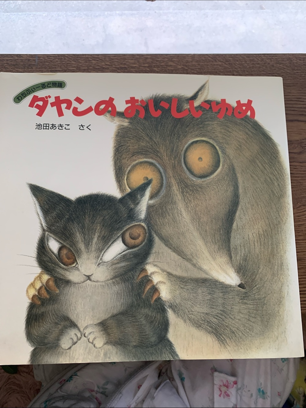 Dayan from Wachfield world illustrated art book story ダヤンfrom Japan